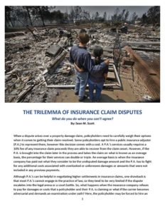 The Trilemma of Insurance Claim Disputes PDF Cover