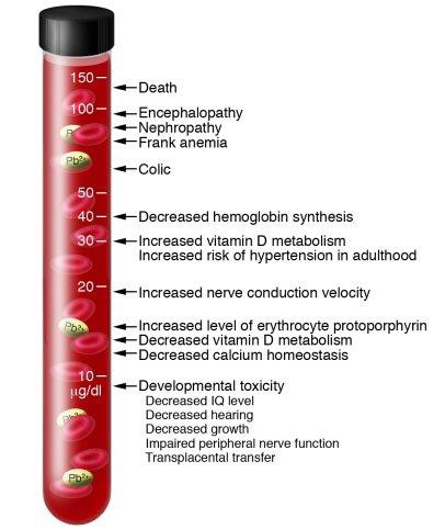 Health effects of lead in blood