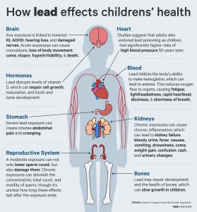 How lead effects children