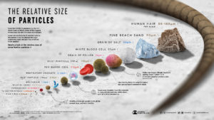 Relative Size of Particles